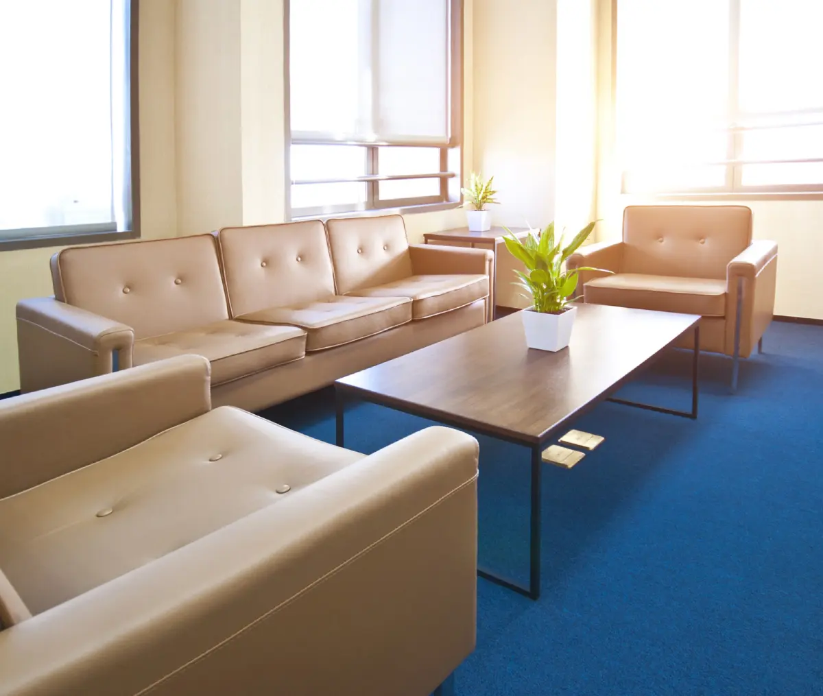 A modern office lounge with beige leather sofas, a wooden coffee table, potted plants, and blue carpet flooring. Natural light streams through large windows.